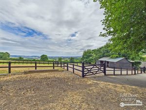 Yard- click for photo gallery